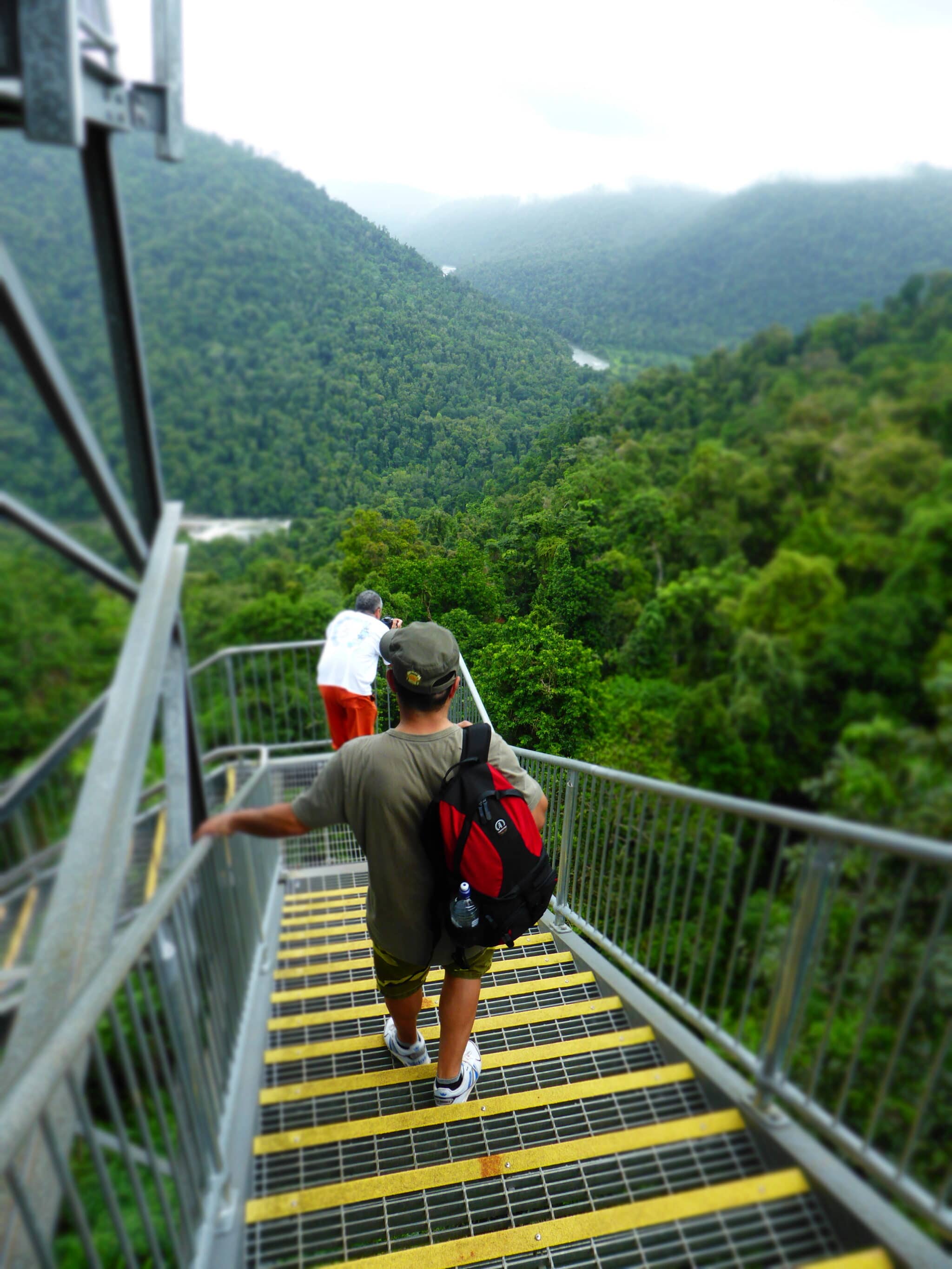 Mamu Tropical Skywalk
