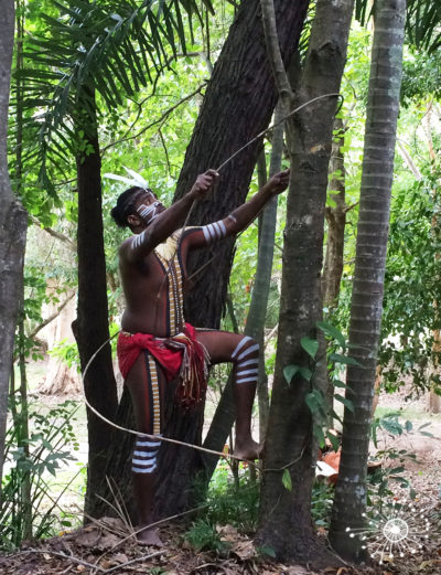 cadaghi-indigenous-arch-australia-tour